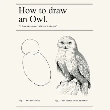 The "Draw the rest of the owl" meme.